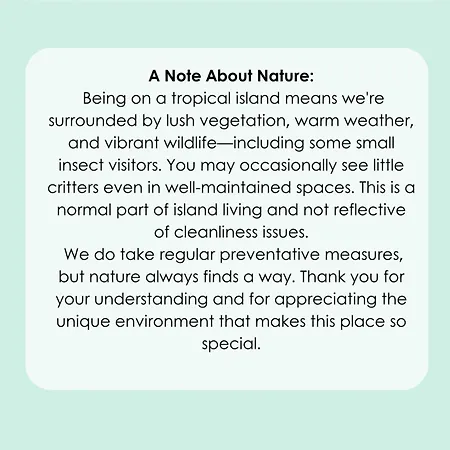 Dom wakacyjny Madeira Breeze