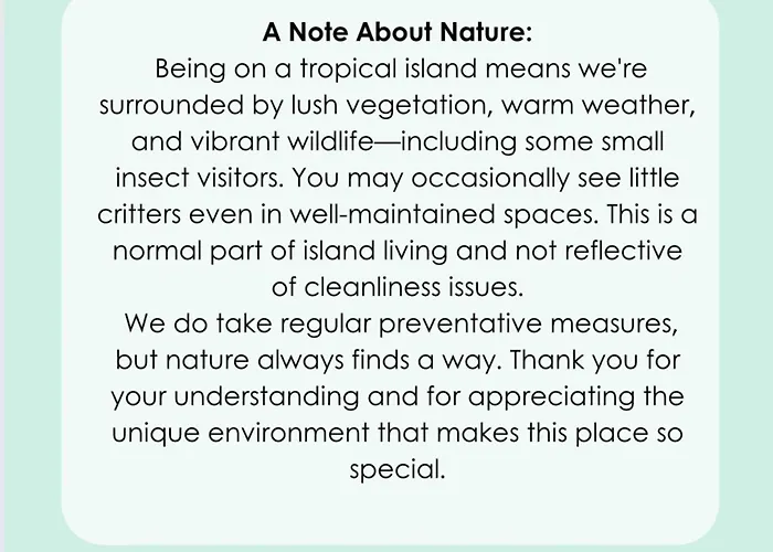 Vakantiehuis Madeira Breeze